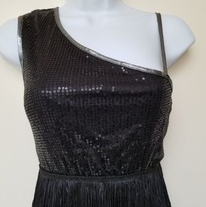 NWOT Roaring 20's Flapper fringe costume (dress)